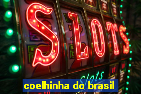 coelhinha do brasil